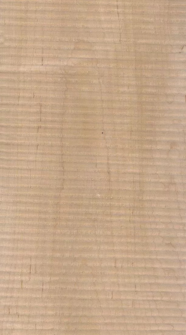 樺木的芯材顏色是淡紅棕色，邊材顏色近白色，板面寬且?guī)в暗哪酒な袌?chǎng)價(jià)格良好，紋理通常是直紋和波浪紋，質(zhì)地均勻，板面有很好的自然光澤度。.webp.jpg